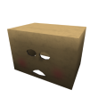 Cardboard Box