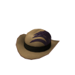 Fancy Feathered Cowboy Hat