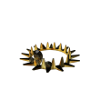 The Gold Star