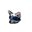 Rocky Racoon