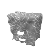 Plastic Bag