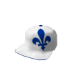 Style du Québec