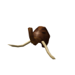 Wooly Bully