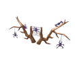 Spider Antlers