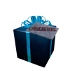 Opened Retro ROBLOXian Gift of Yesteryore