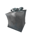 Opened Silver Gift of Surprise
