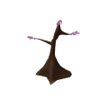 Blossom sapling
