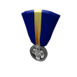 ROBLOX Veteran's Medal