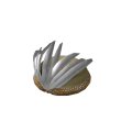 Feathered Sultan