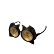 Pirate Vision