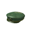 Naval Vet