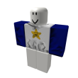 White and Blue Sweatshirt