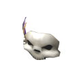 Mardi Skull Mask