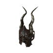 Rakar The Dangerous