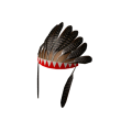 Turkey Feather Headdress