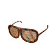 Pumpkin Shutter Shades