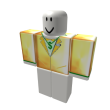 Golden Shirt of Bling Bling! (Favorite It Please!)