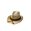 Rough and Ready Cowboy