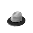 Two Tone Fedora