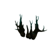 Sinister Branches