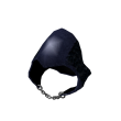 Hood of the Lonely Raven