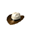 Dude Ranch Cowboy Hat