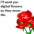 <3