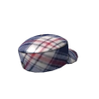 Plaid Backwards Cap