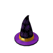 Spider Witch Hat