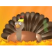 turkey fan club